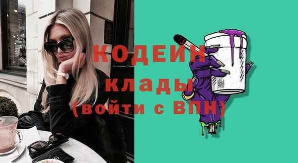 прущие крисы Новозыбков