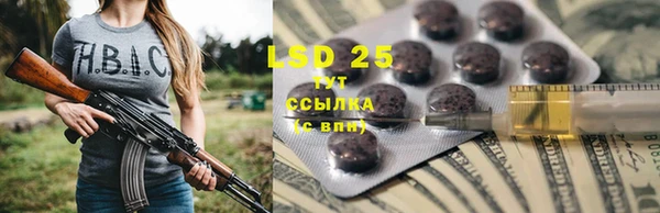 прущие крисы Новозыбков