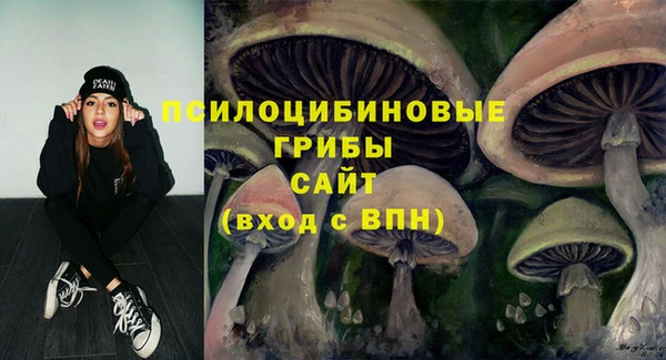 каннабис Новодвинск