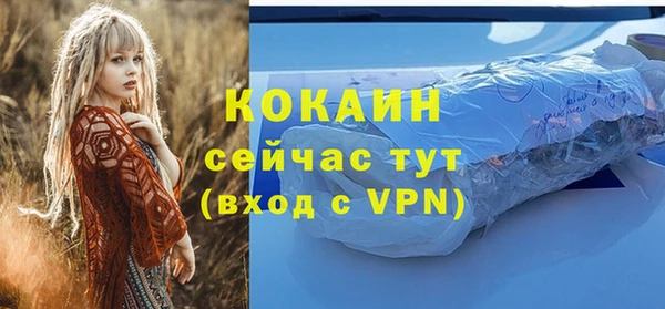 прущие крисы Новозыбков