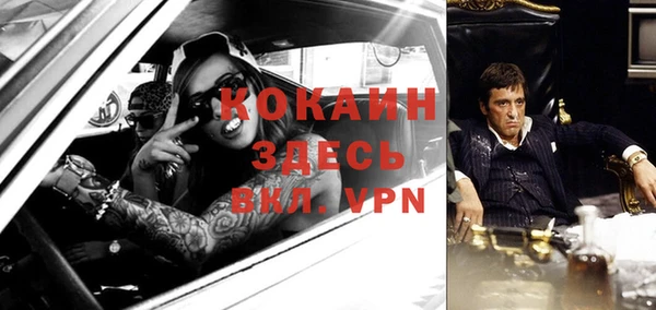 прущие крисы Новозыбков